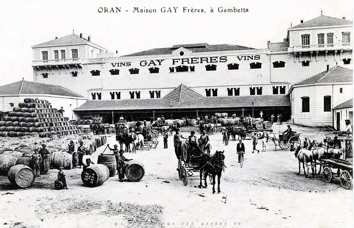 585- Oran - Gambetta vins Gay.jpg
